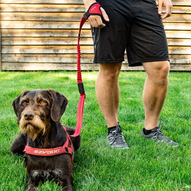 EzyDog Handy 48 Bungee Dog Leash - The Best Hands-Free Running Leash Training Lead with Superior Control and Reflective Stitching - Zero Shock Shock-Absorbing Technology (Adjustable 36â€ - 48â€, Red) - Image 3